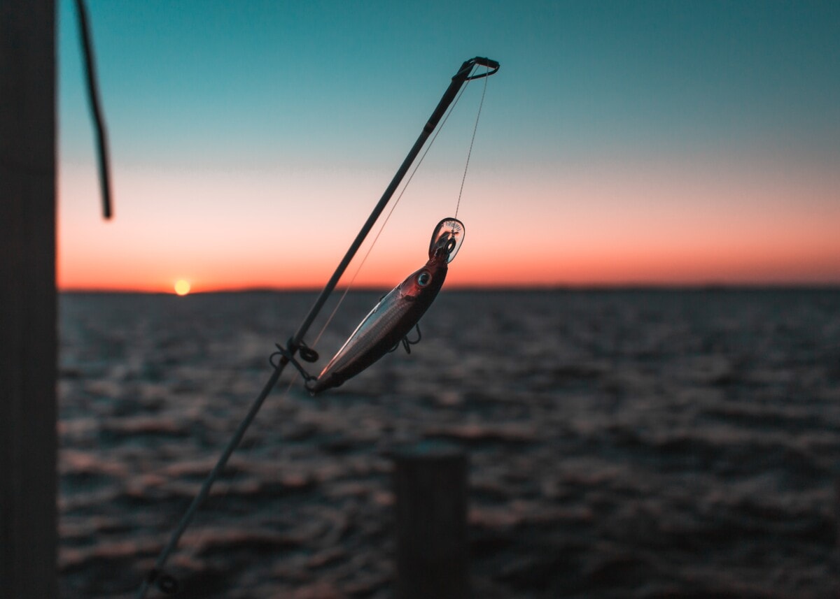 fish on a boat with sunset in the back in maryland