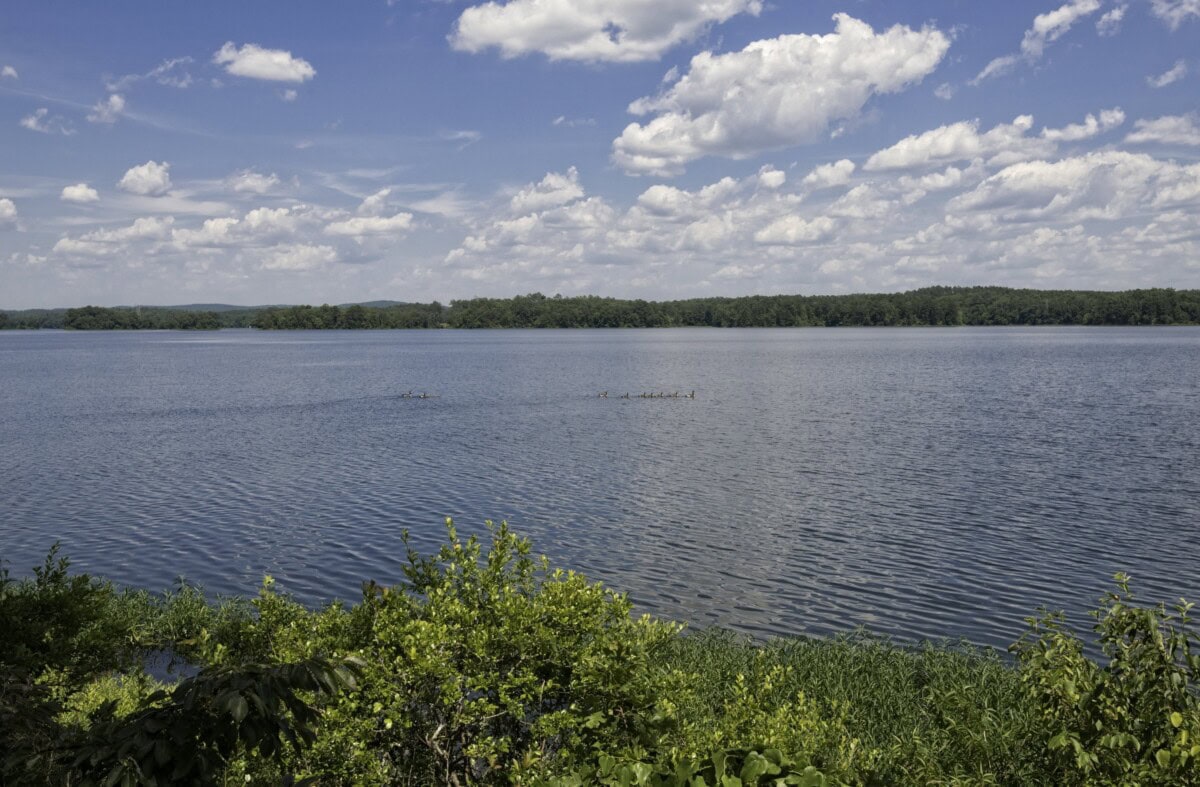 lay lake waters in alabama