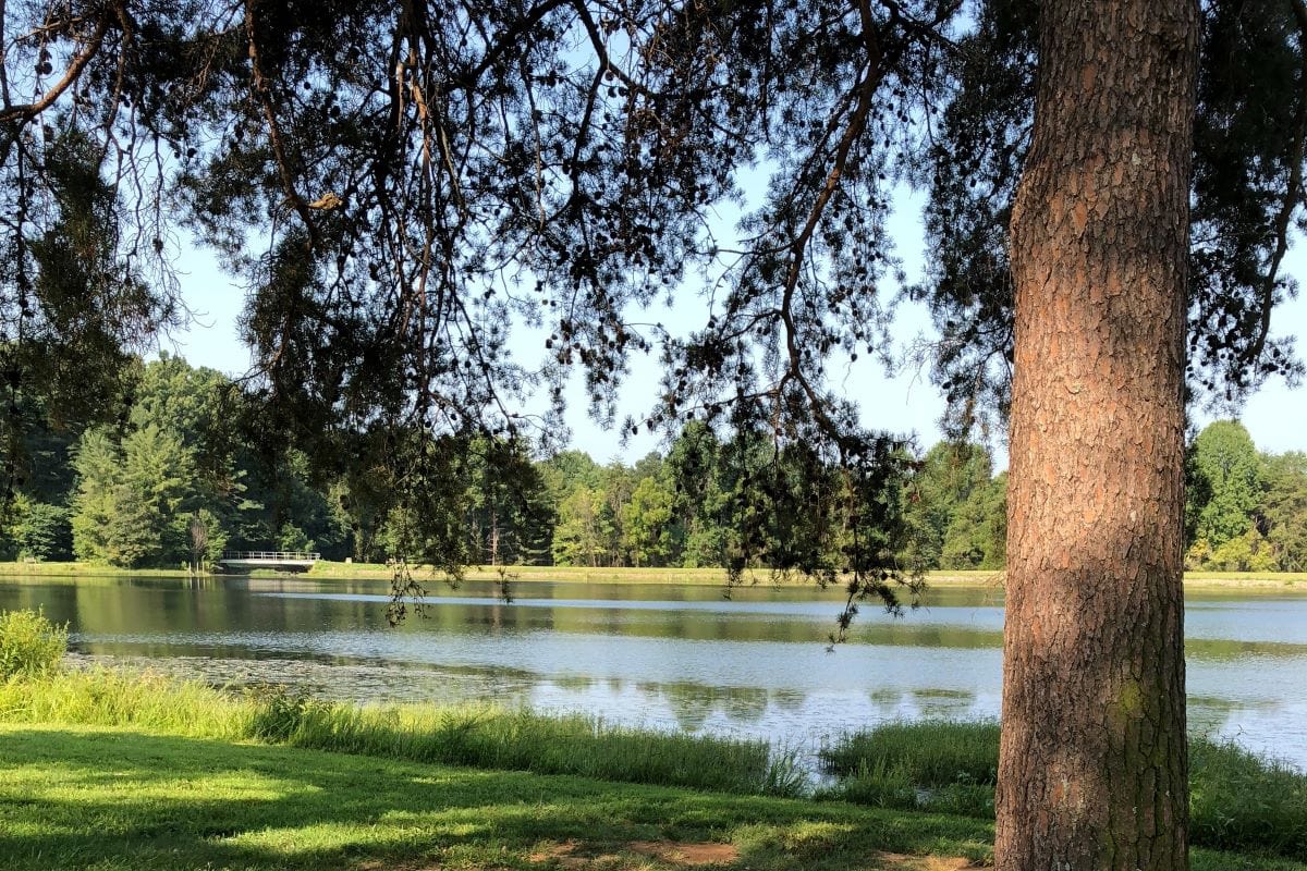 bernheim arboretum in louisville