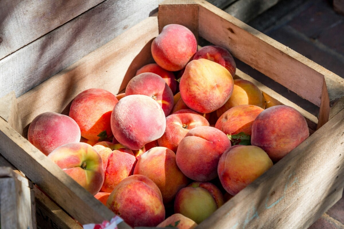 A basket of peaches