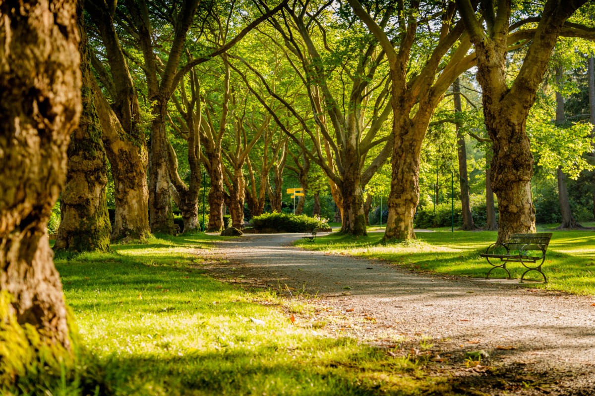 park photography atlanta