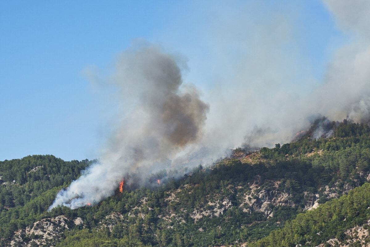 Fire in Montana