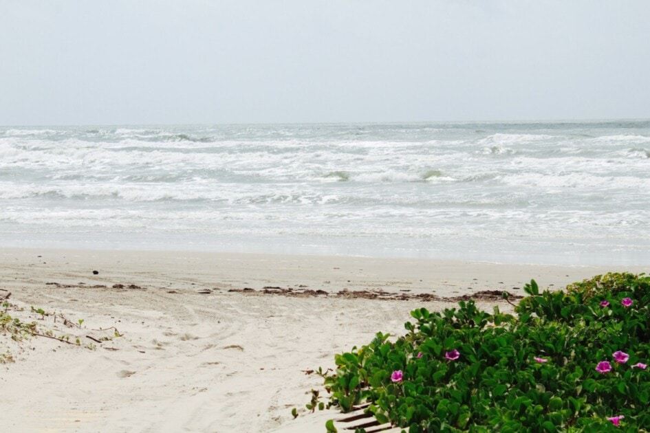 Corpus Christi beach