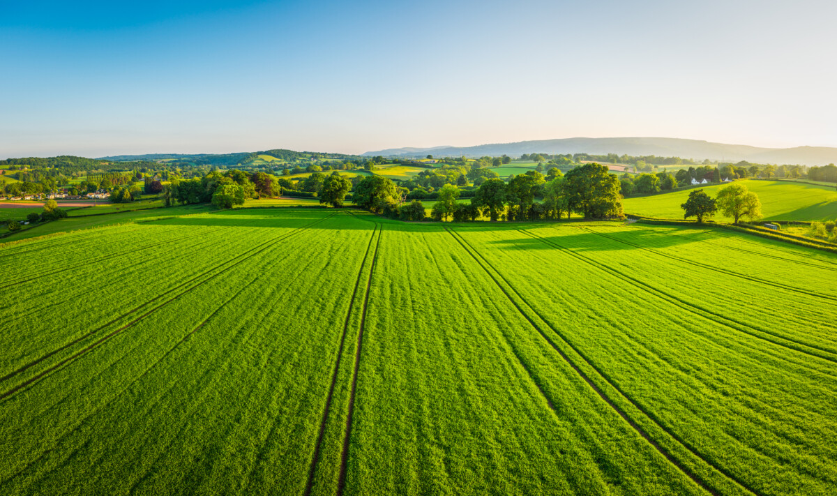 Nebraska farm