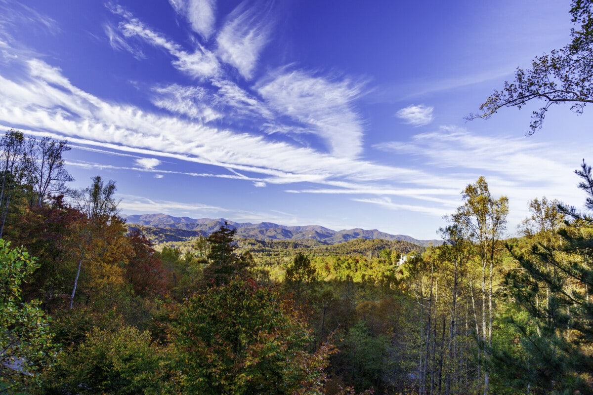 North Carolina fall foliage