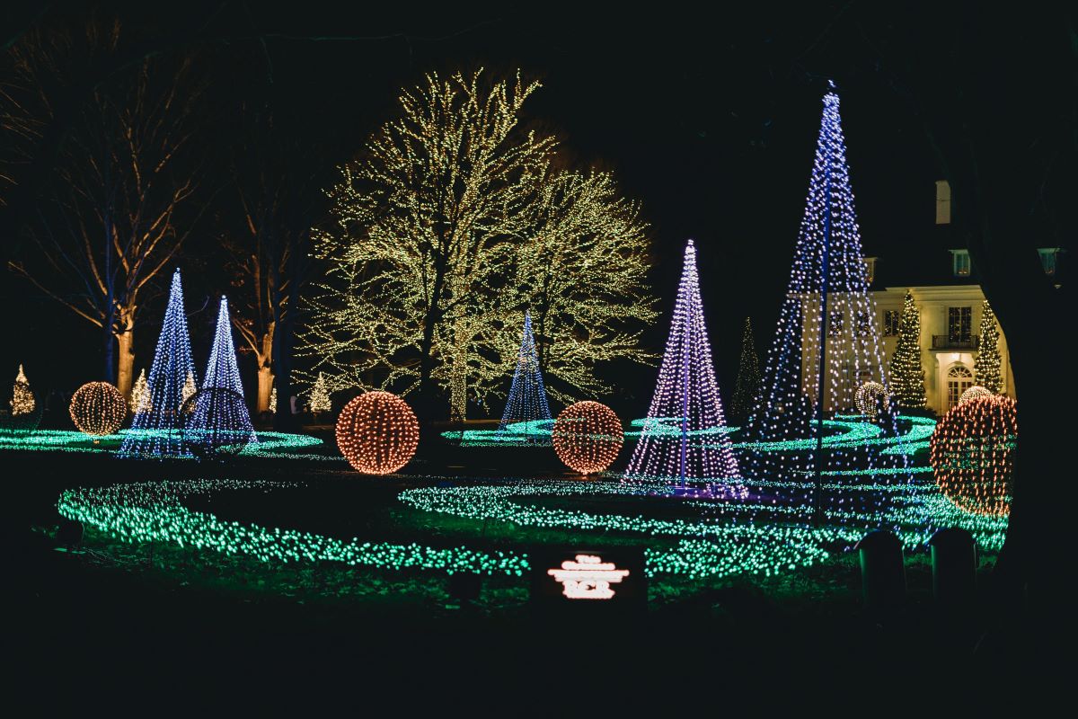 holiday lights on trees