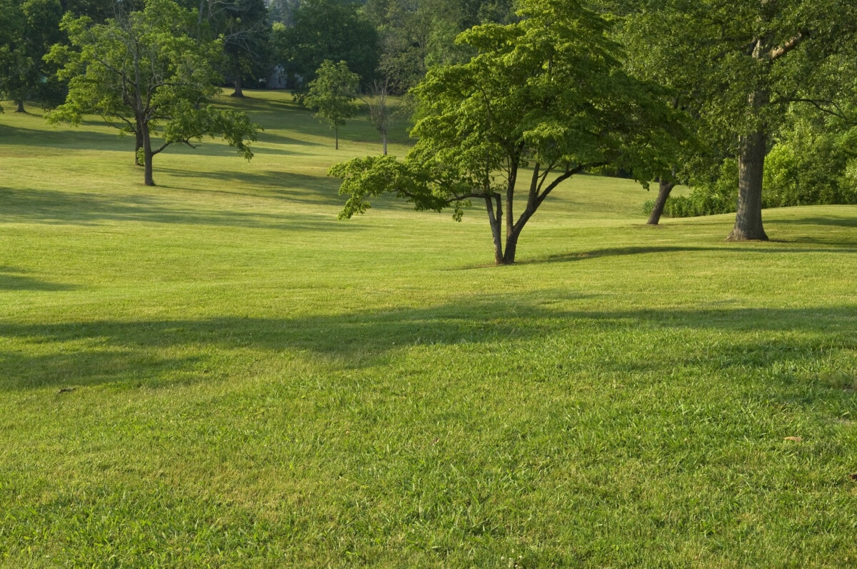 Park in Birmingham