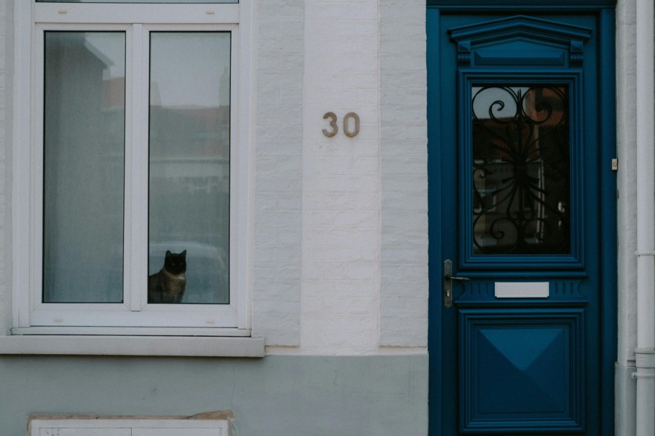 a home's white exterior with a siamese cat in the window, blue door, and gold "30" sign--find out about your home numerology in this Redfin article