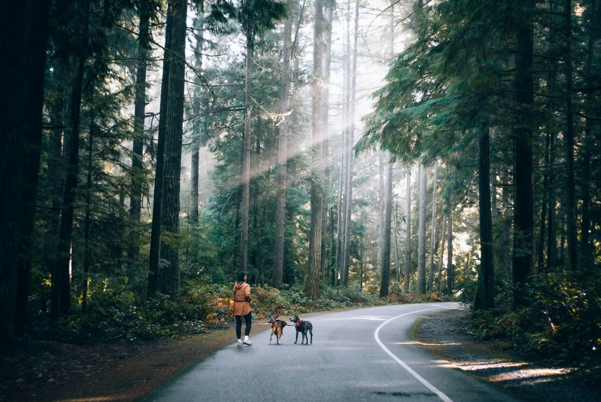 point defiance park tacoma