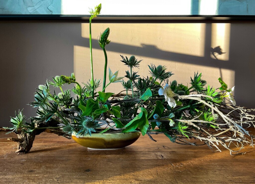 Nourish botanical design