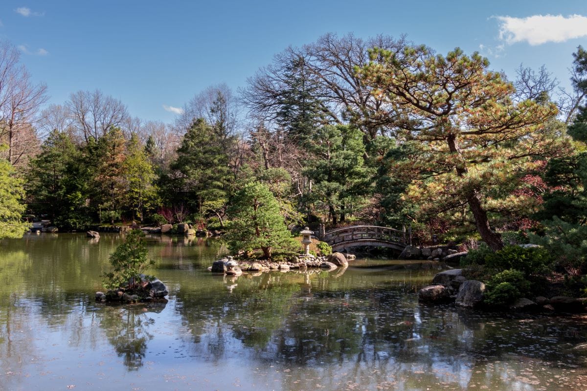 anderson japanese gardens