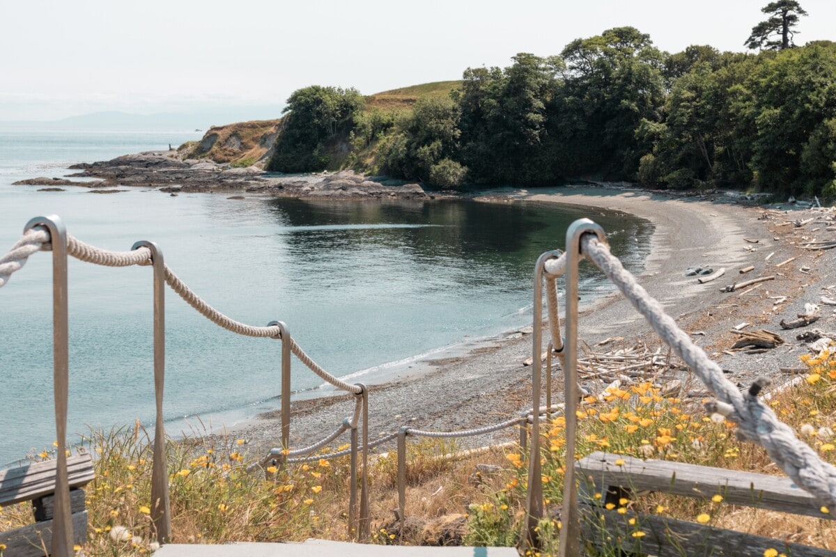 beach on san juan island in washington