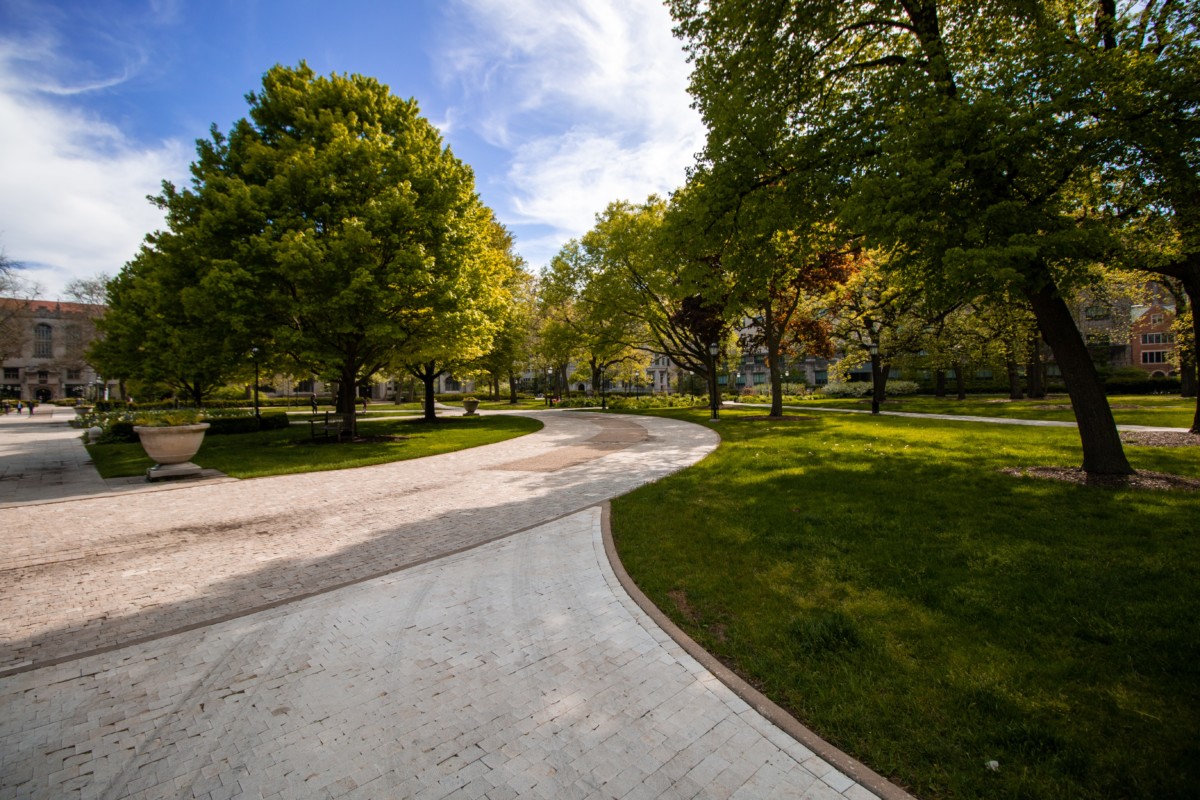 paved walking path in a park