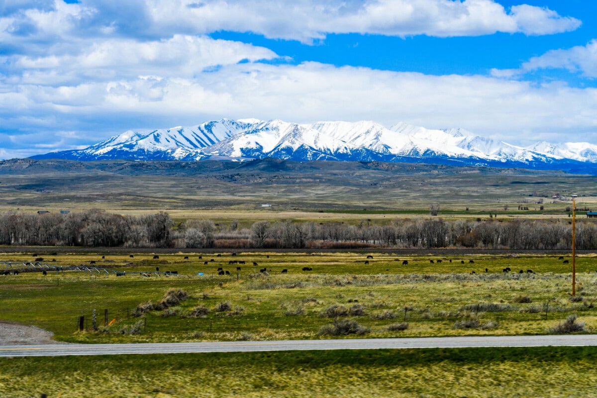 livingston-mt