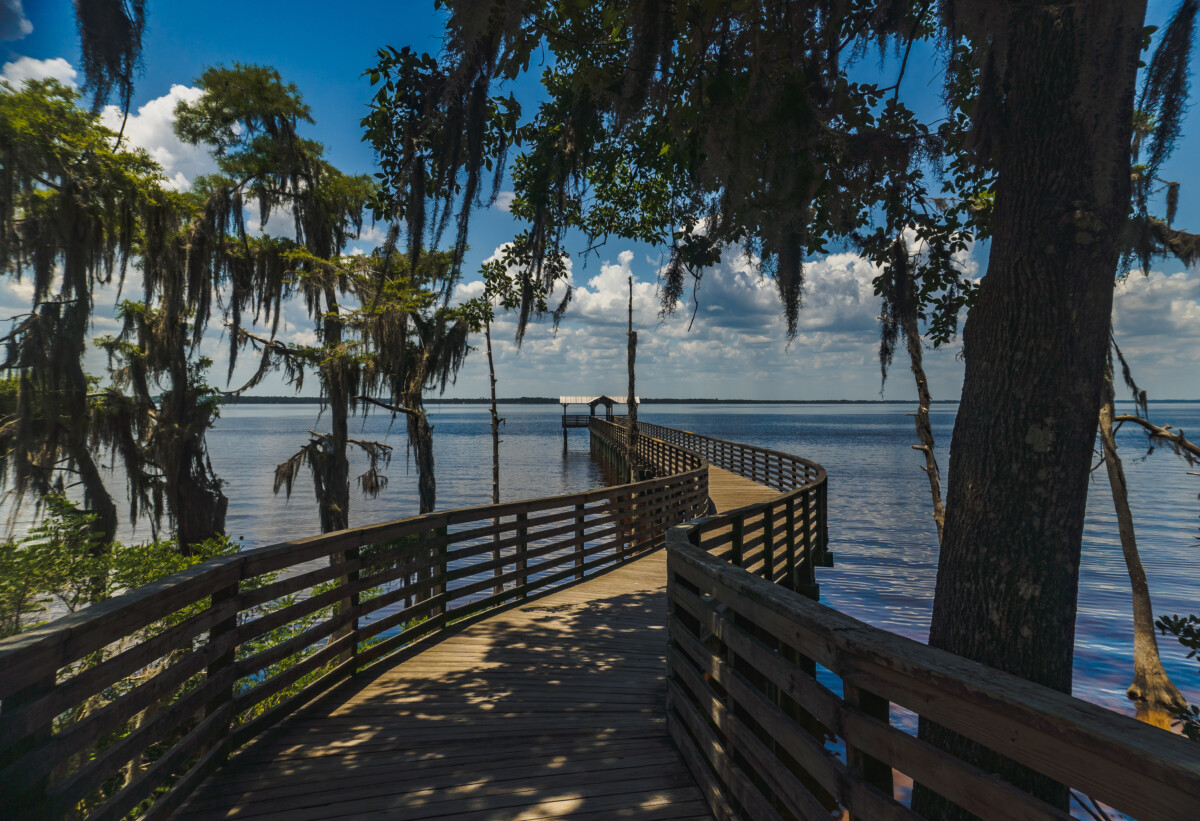 the banks of jacksonville fl