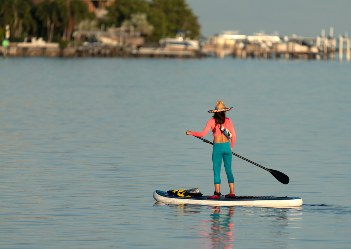 paddle boarding and things to do in tampa