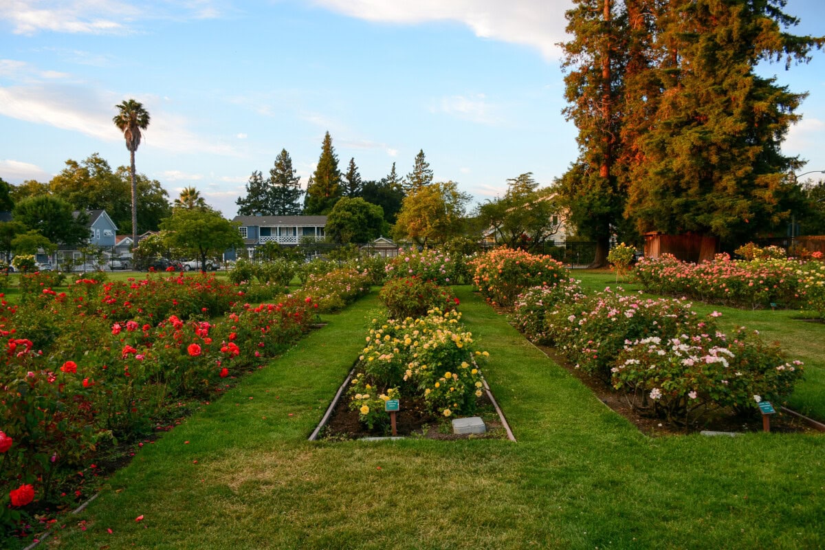 san jose san francisvo park california