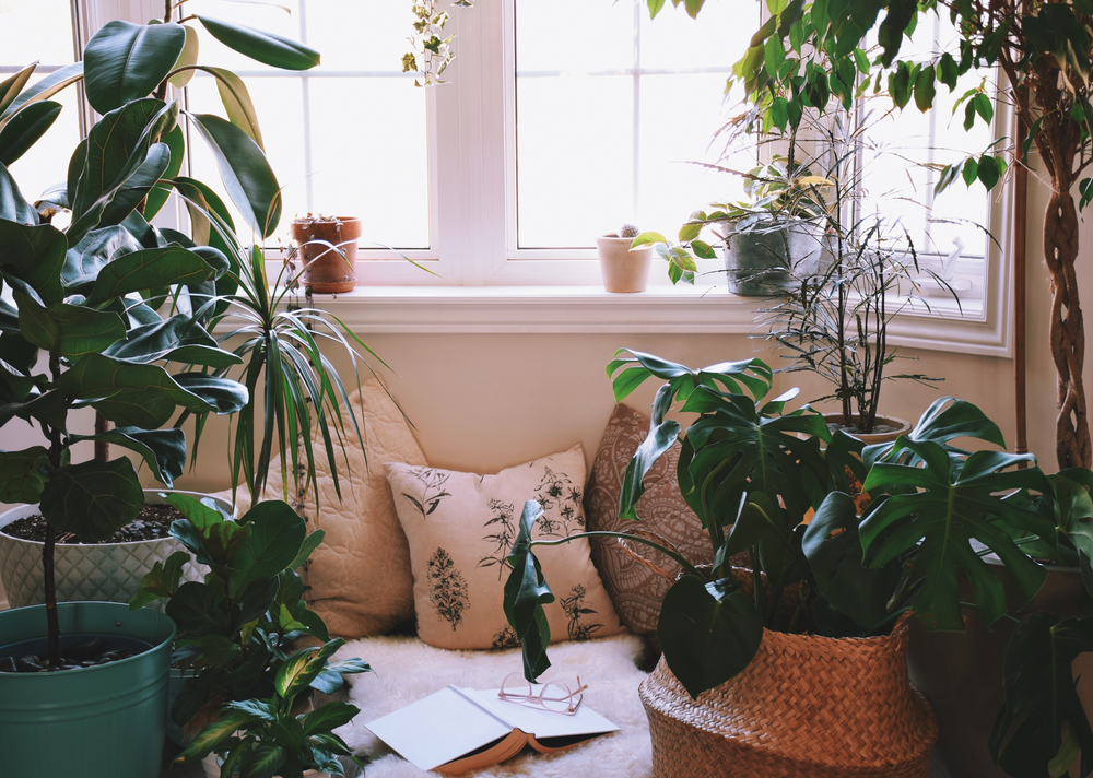 cozy reading nook surrounded by plants