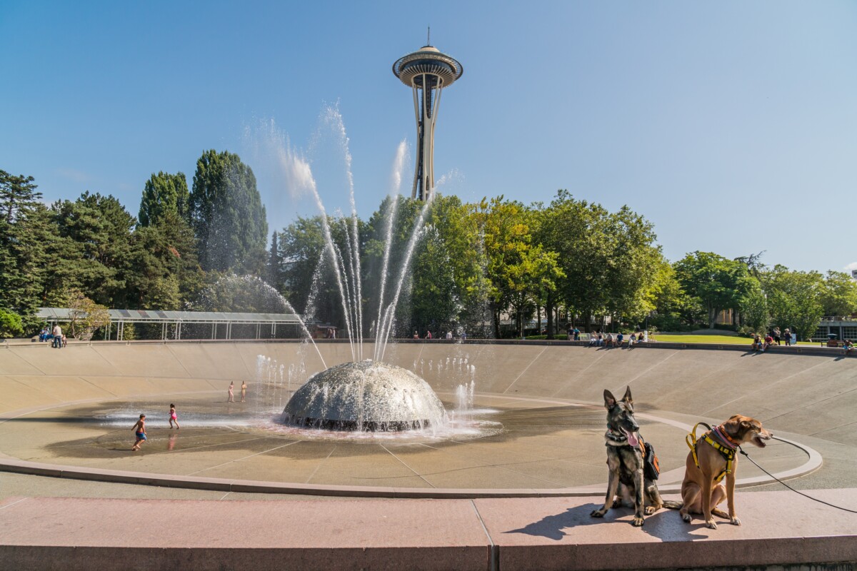 water fountain and parks in seattle 