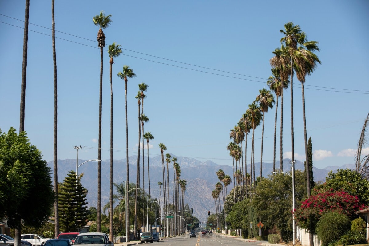 sunset boulevard in LA Beverly hills