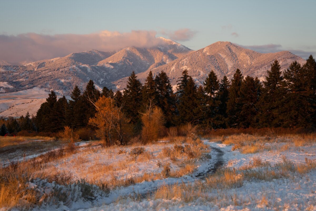 bozeman-mt