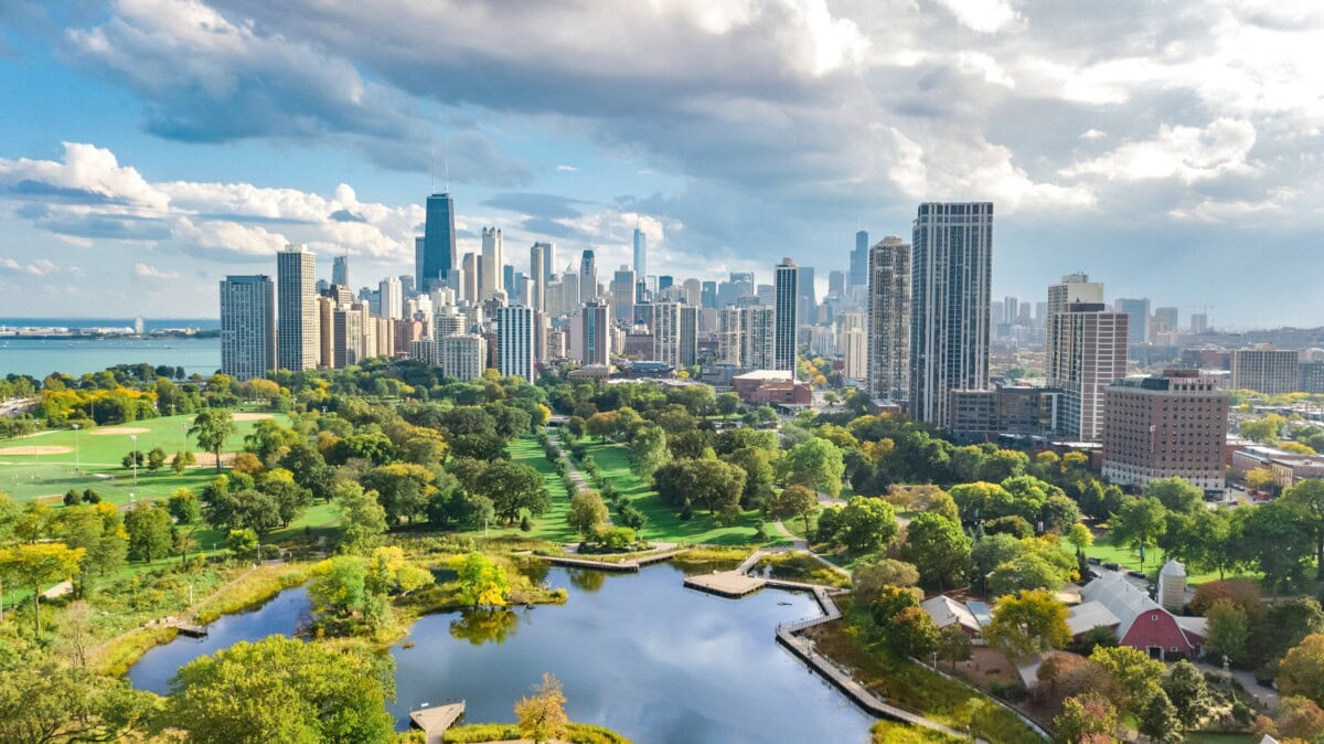 skyline parks and real estate in chicago