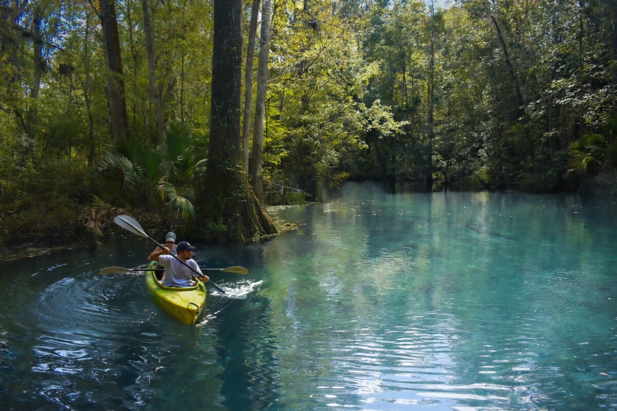 silver springs florida