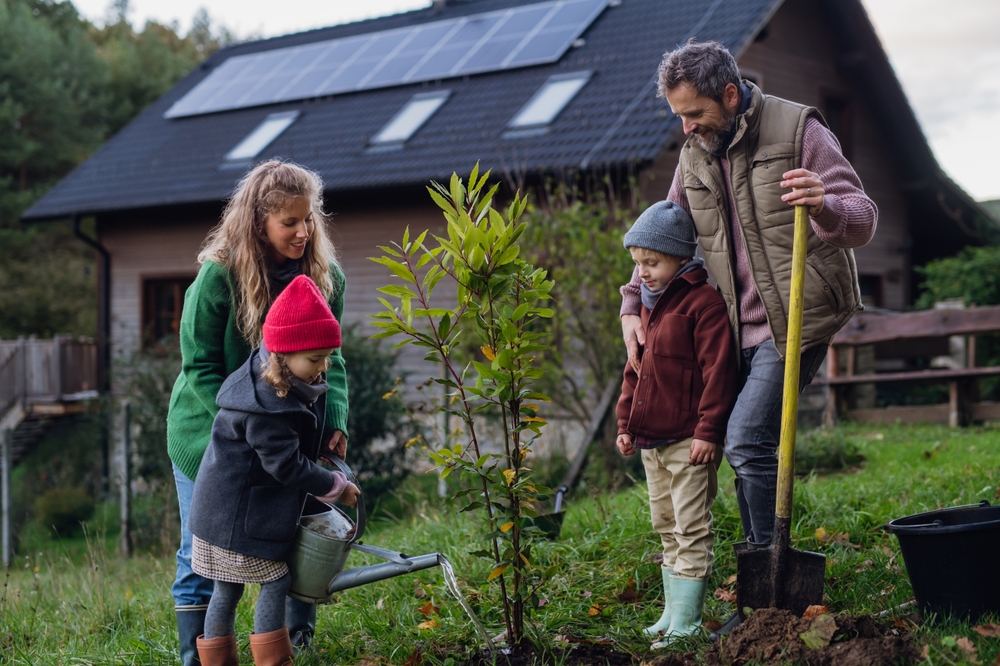 planting a tree