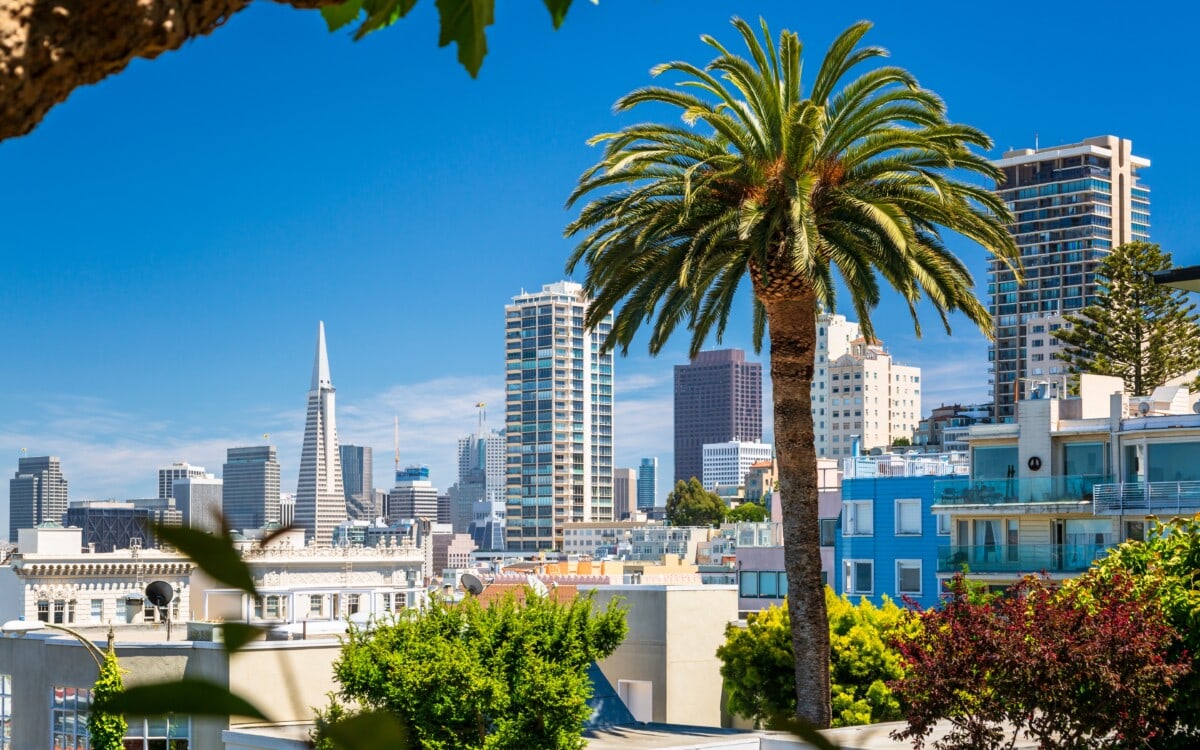 skyline of apartments and rentals in san francisco ca