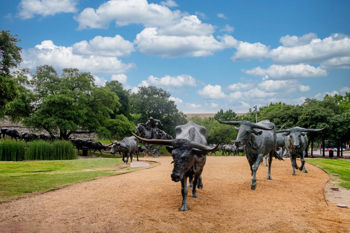 landmarks and things to do in dallas tx