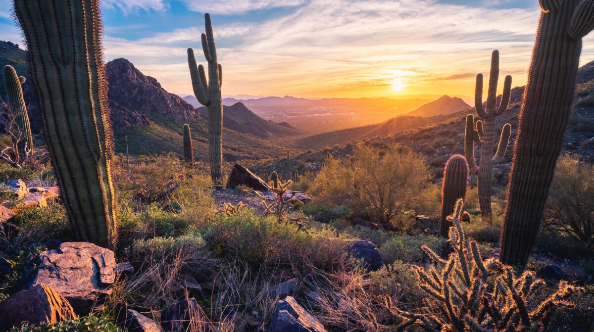 phoenix az iconic views 