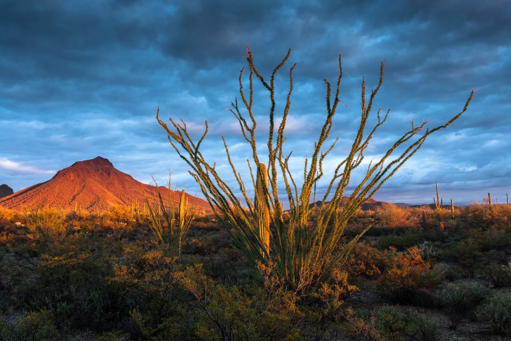 tucson mountain near gilbert arizona