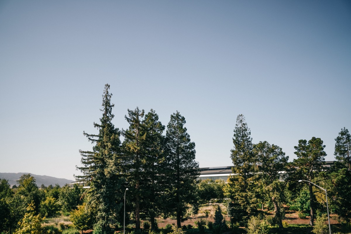 cities near san jose with trees and apple campus in the background