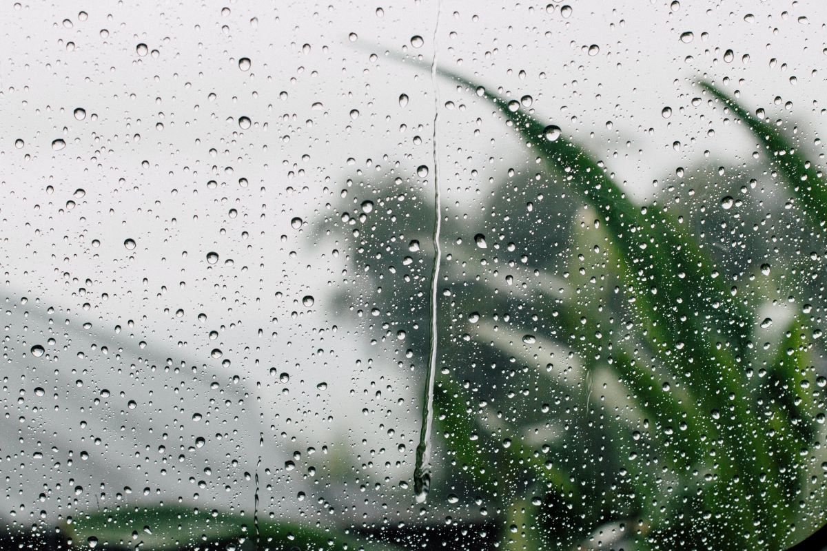 what are storm windows