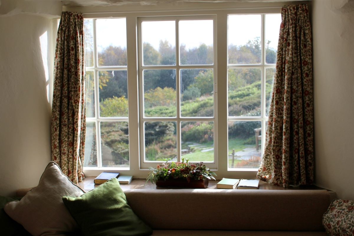 window overlooking a forest