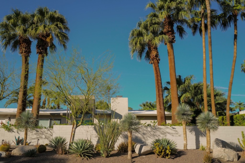 drought tolerant xeriscaping