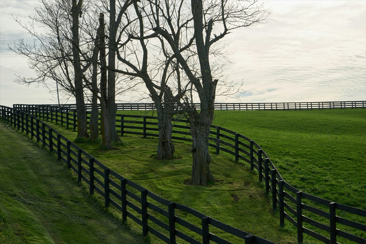 how to sell land