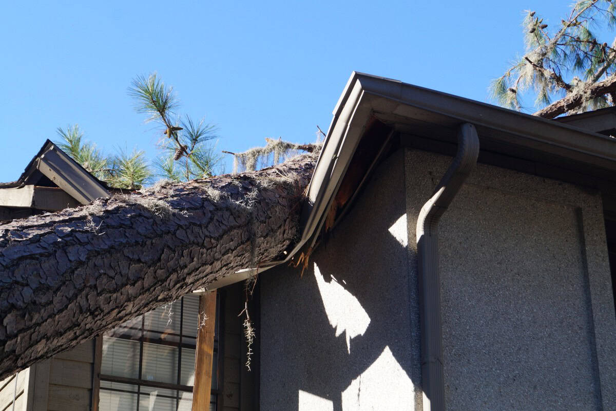 A close up of a tree having fallen on the roof of a house as an example of home warranty vs. home insurance.