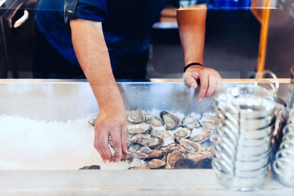 fresh oysters nyc