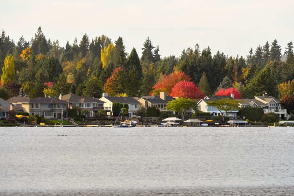Waterfront properties on a lake, which might be a reason someone would want to buy a house in a flood zone. 