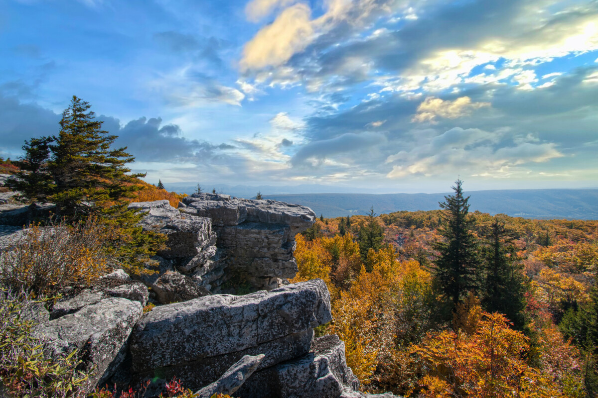 Bear Rocks - Dolly Sods Wilderness WV in Autumn