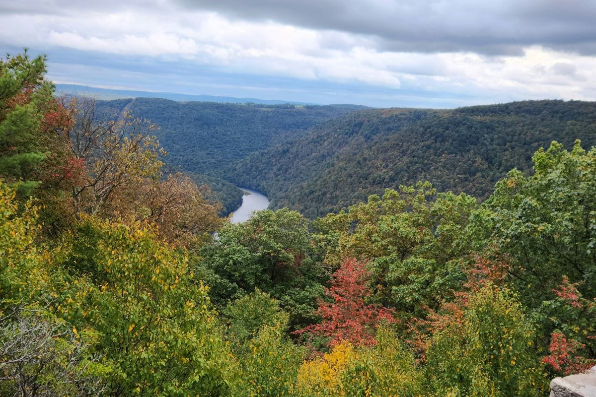 agriculture and forestry is a west virginia major industry